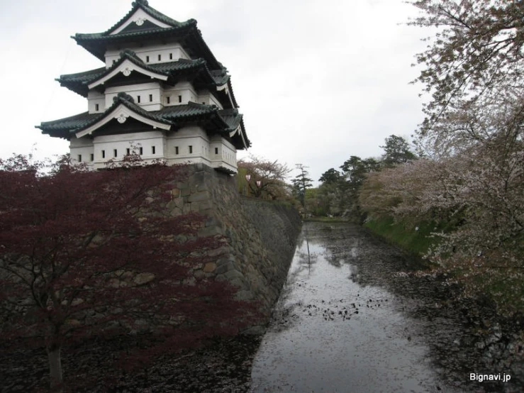 a castle like structure is surrounded by trees