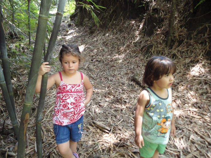 two children in the woods standing next to a tree