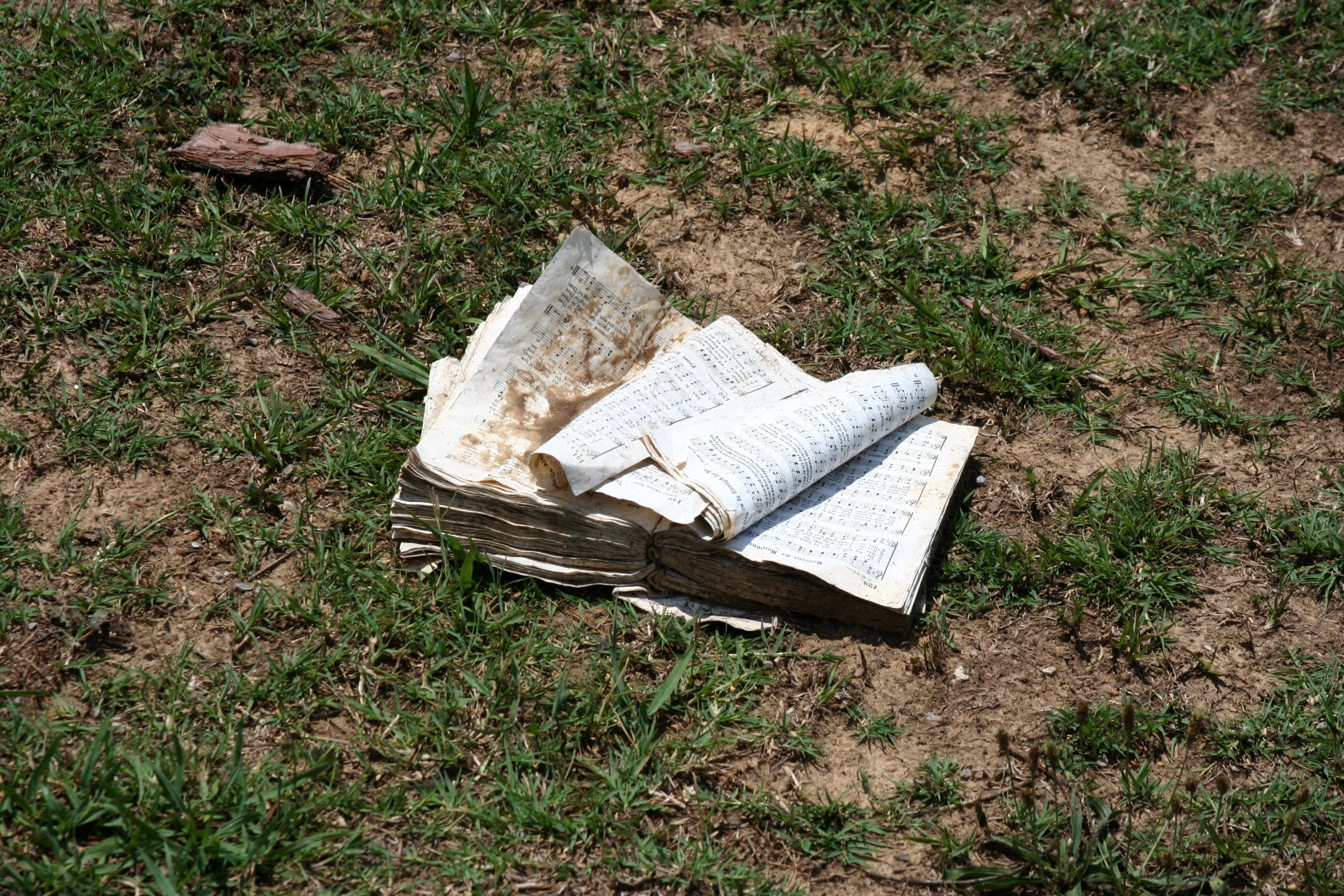 an open book sitting in the grass next to a fallen log