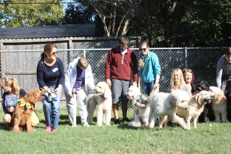 a group of people standing in the grass with dogs