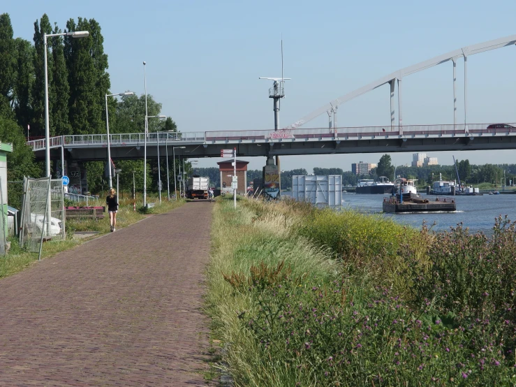 a path leading towards some green trees along the edge of a body of water