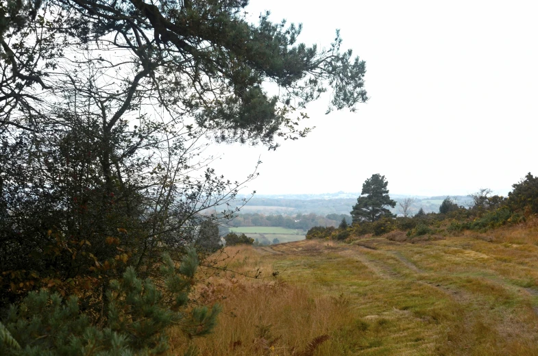 a large open area with a very nice view