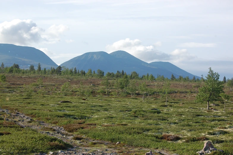 a mountain range with trees in the distance