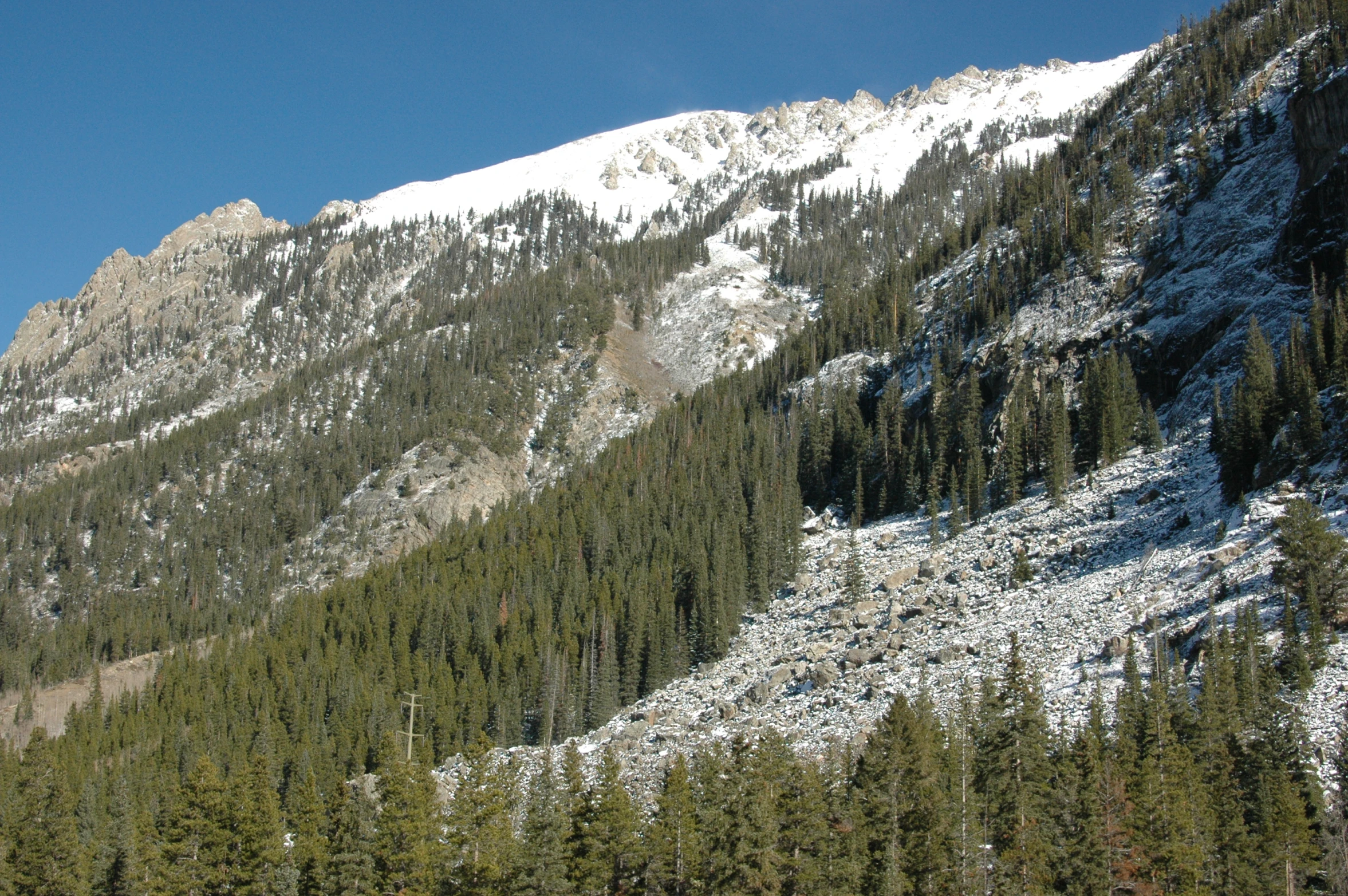 a mountain has pine trees in front of it