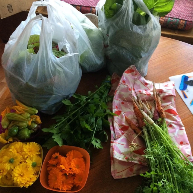 two bags filled with carrots, lettuce and other vegetables