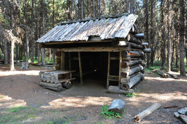 an old log cabin in the woods with trees