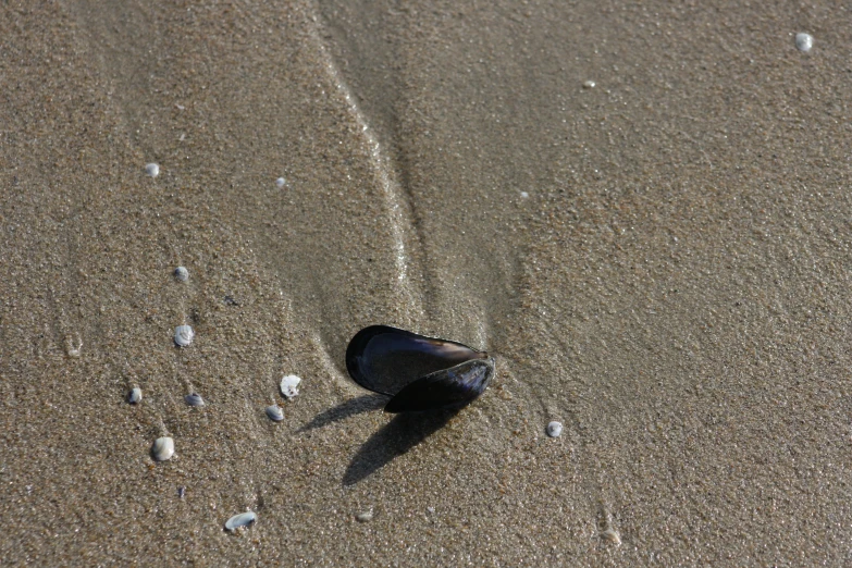 an empty wine glass laying on a sandy beach