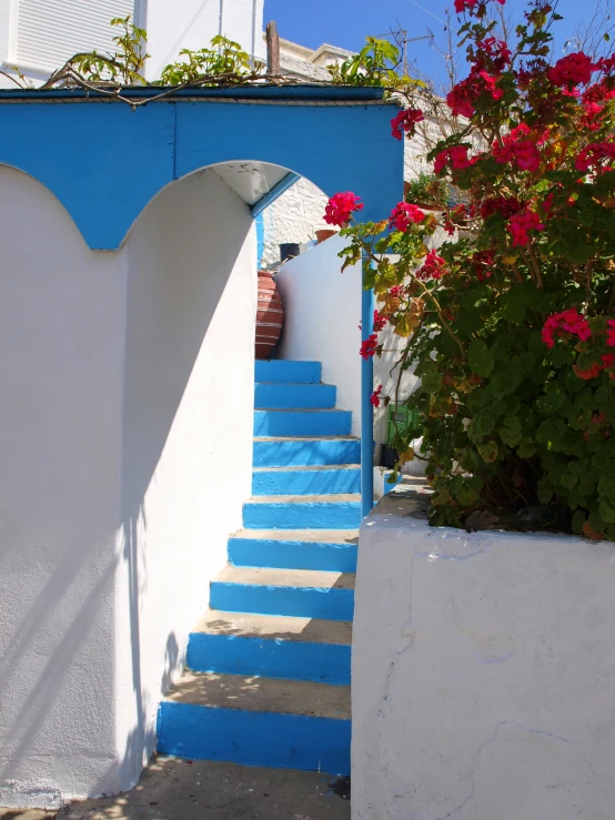 a blue and white staircase with a pink flower growing out of the top