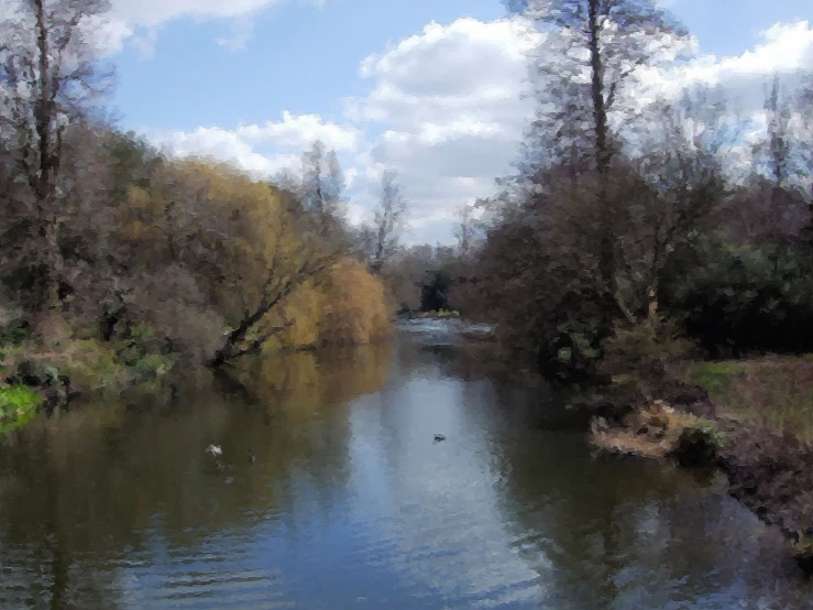 a body of water surrounded by trees and a cloudy sky