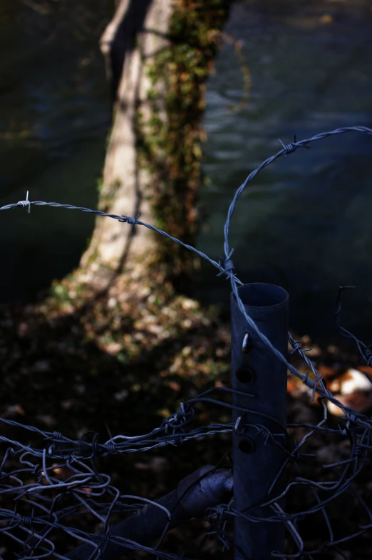 barbed wire in the foreground with a tree by the water