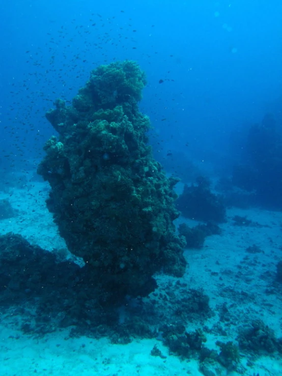 the sunken pillar is buried by sand in this sea