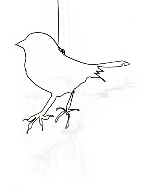 a drawing of a blackbird looking up at the sky