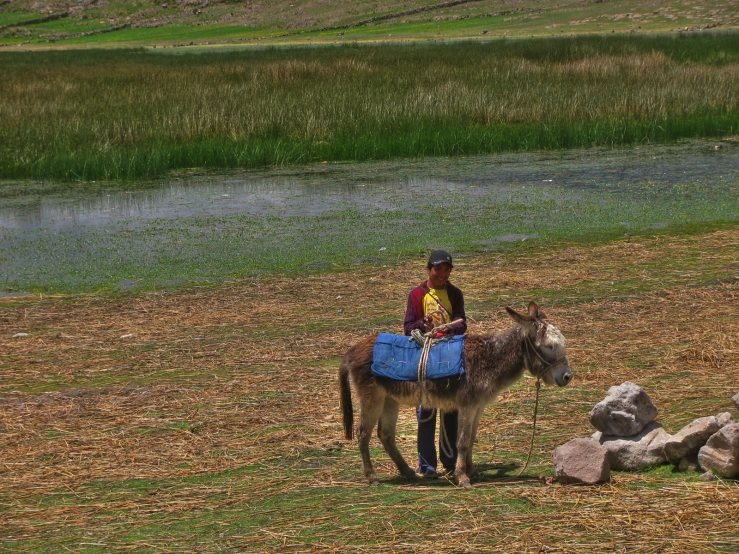 a person in a yellow shirt is riding a horse