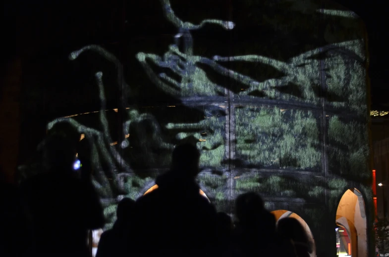 the night time crowd watches as a projected artwork depicts the animal in the distance