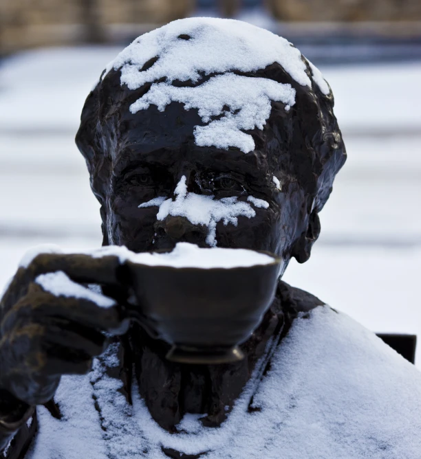 the sculpture is covered in white snow