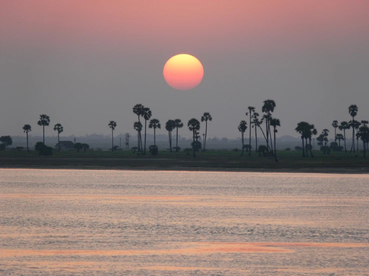 a sunset seen from the water with some palm trees