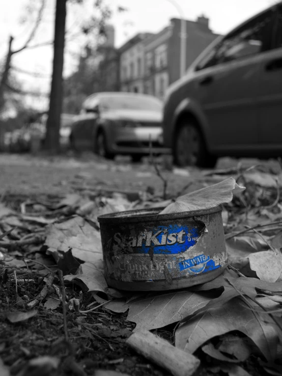 a discarded food can is laying on leaves on the ground next to a parked car