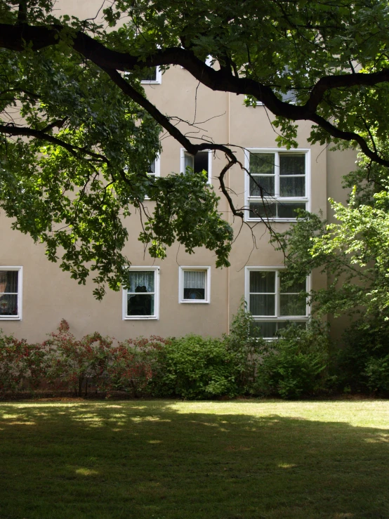 the view of a building with trees and a bench under the tree