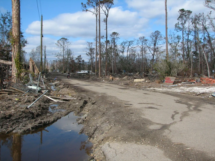 a dirt road has been cleared by the rain