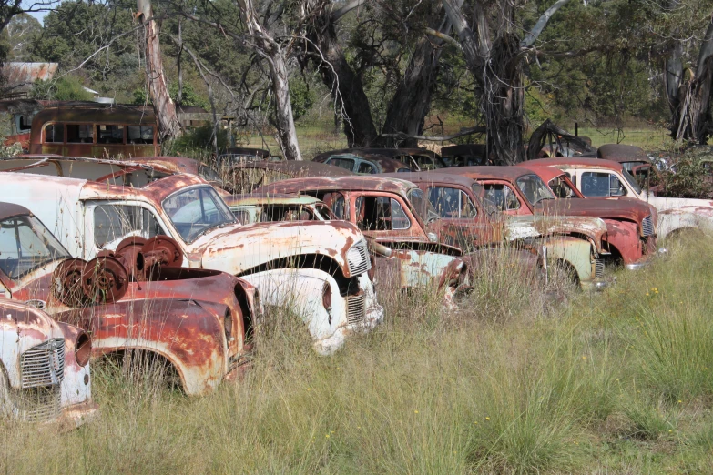 there are many old cars that are in a field