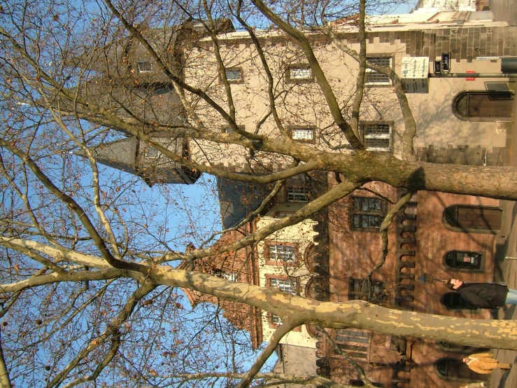 a building is seen through the nches of a tree