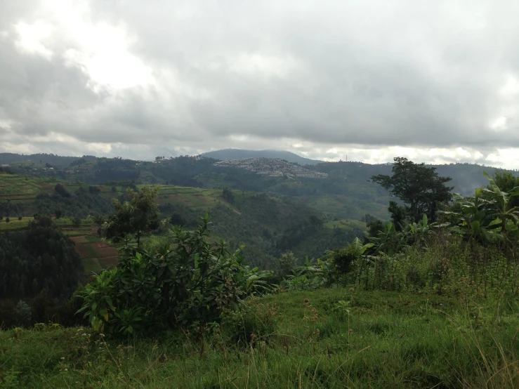 mountains are covered in rolling clouds as it sits behind green trees