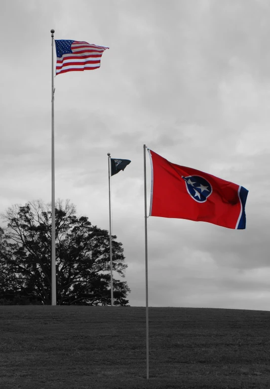 flags flying from poles in an open field