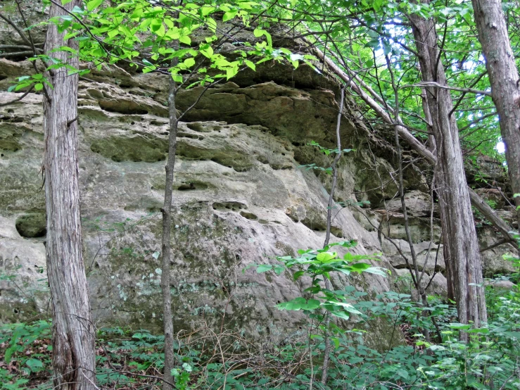 a very large rock with some moss on it