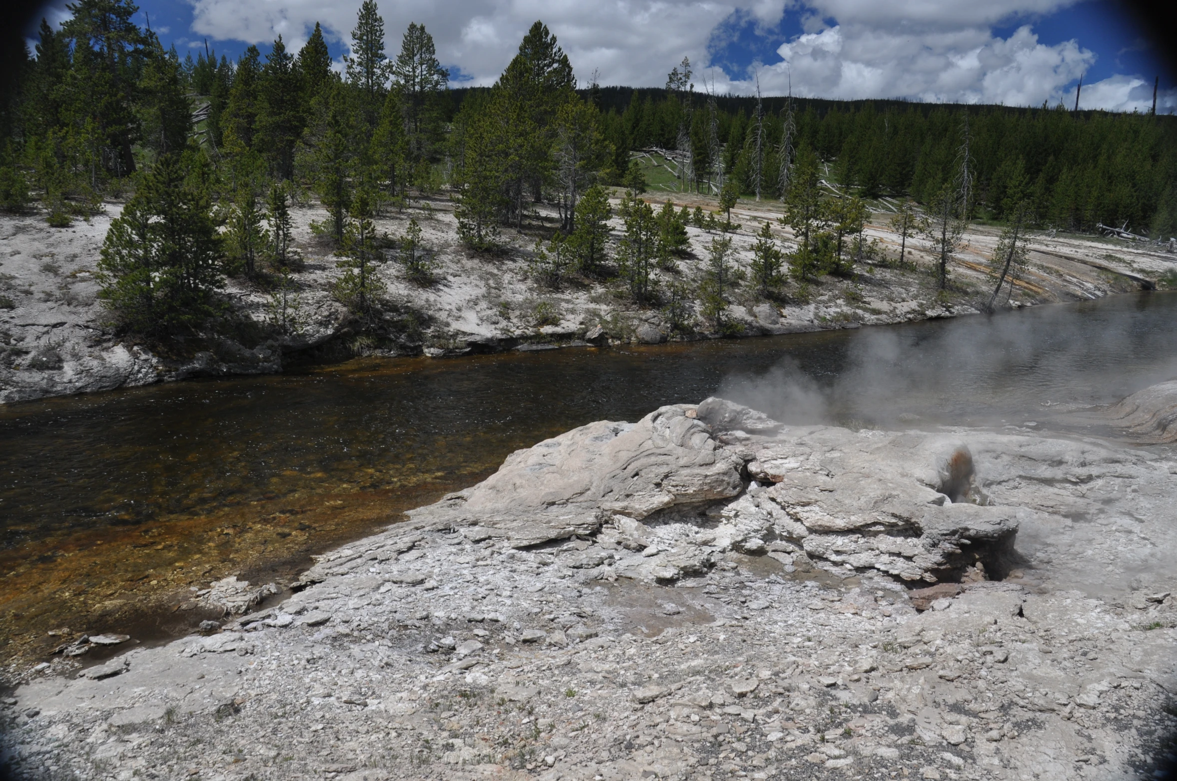 the  springs and  springs are flowing into a stream