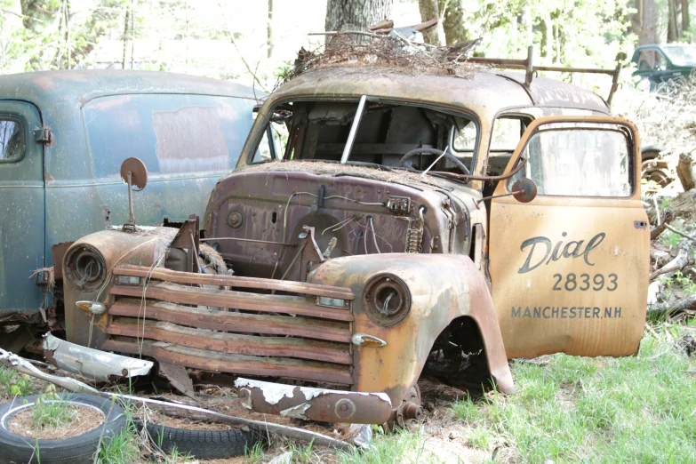 two rusted out trucks sitting in a forest