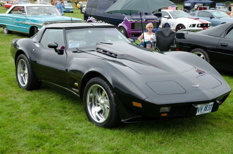 black sports car parked on grass in front of a crowd