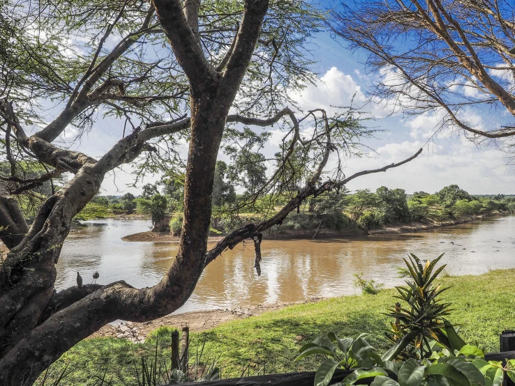 a large body of water surrounded by trees