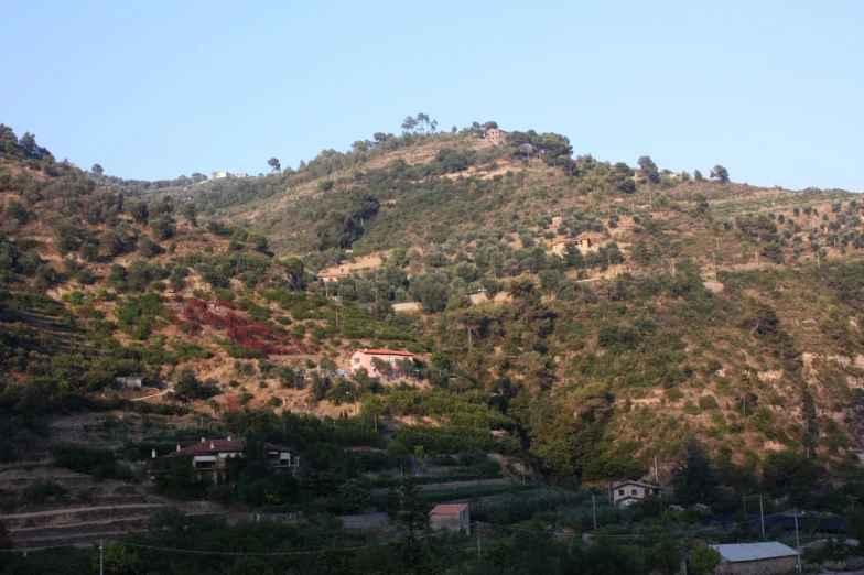 several trees and buildings sit on top of a hillside