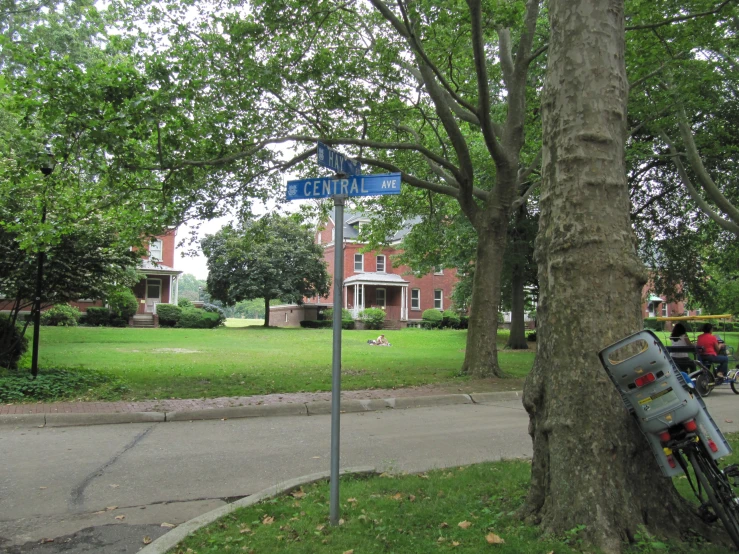 the tree is next to a street sign and a bicycle