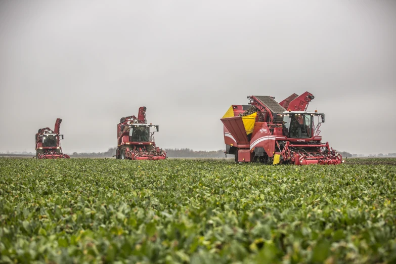 two combines working in an open field