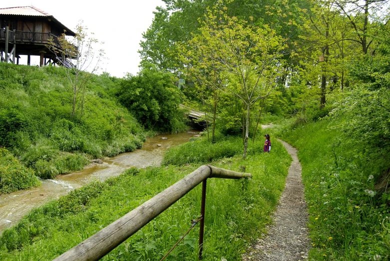 a woman is standing on the edge of the water