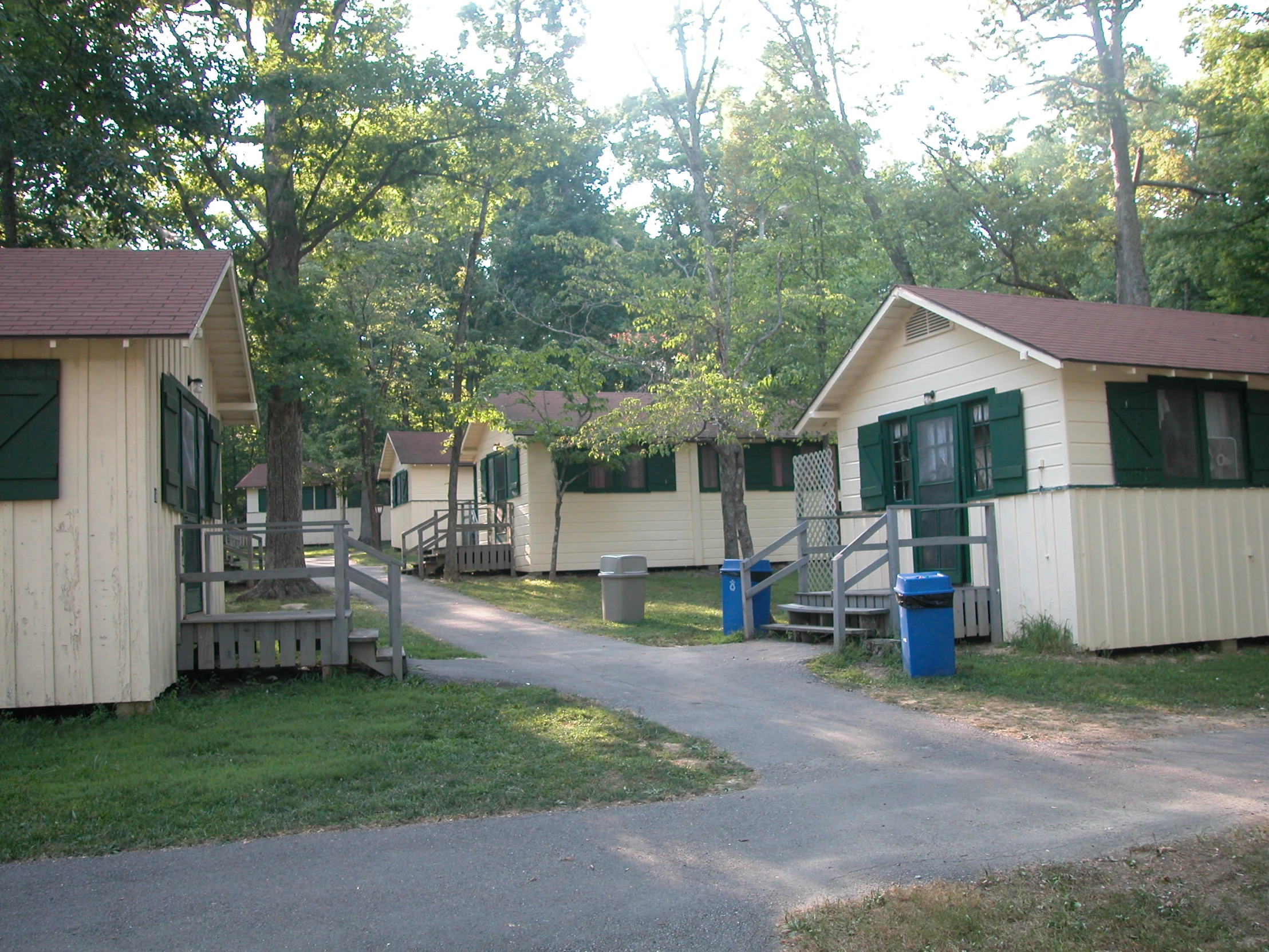 cabins at the park lined with trees near one side of road