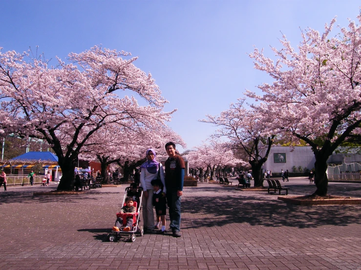 two adults and a child standing in a courtyard under some pink flowers