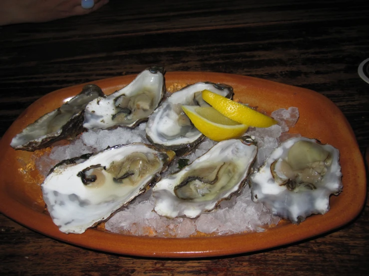 a plate with oysters and lemon on ice