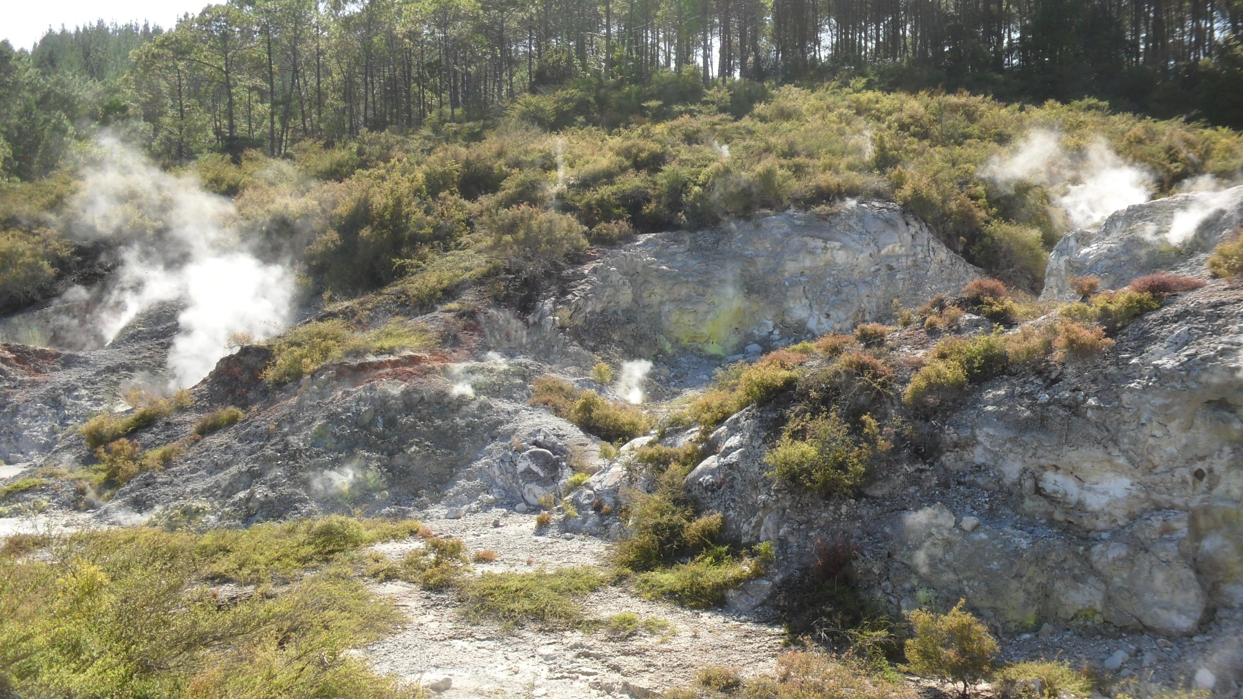 a hillside with green vegetation and steam rising from it