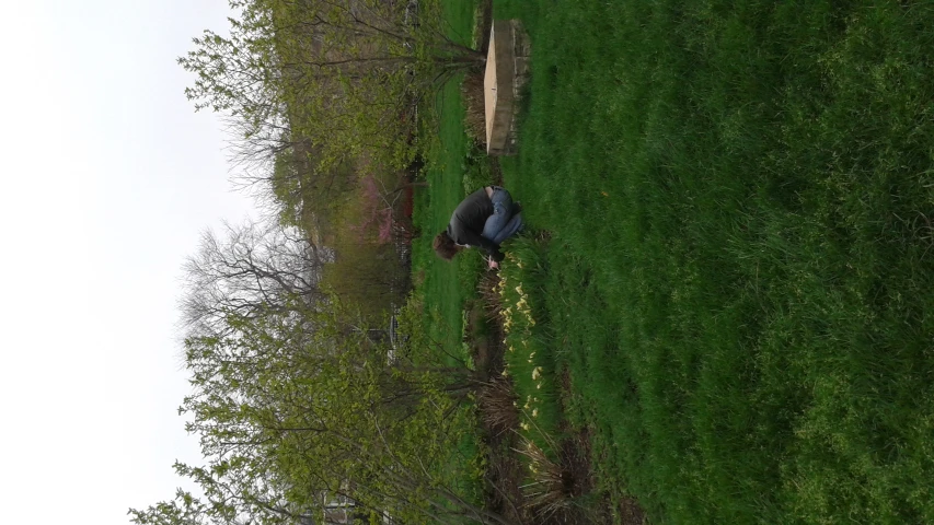 a woman kneeling in the middle of a lush green field