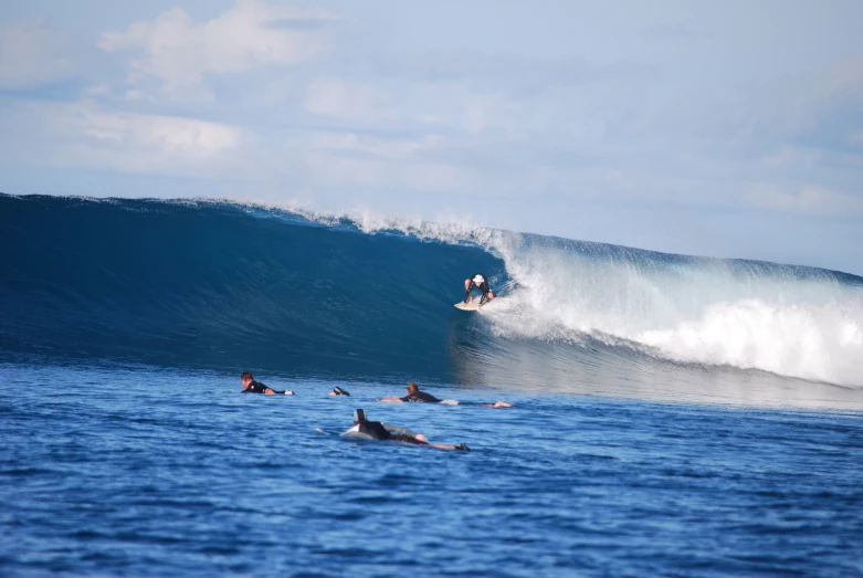 surfers ride the crest of a large wave