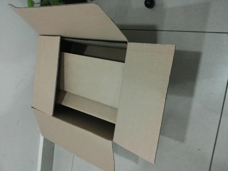 open cardboard box on floor next to plant