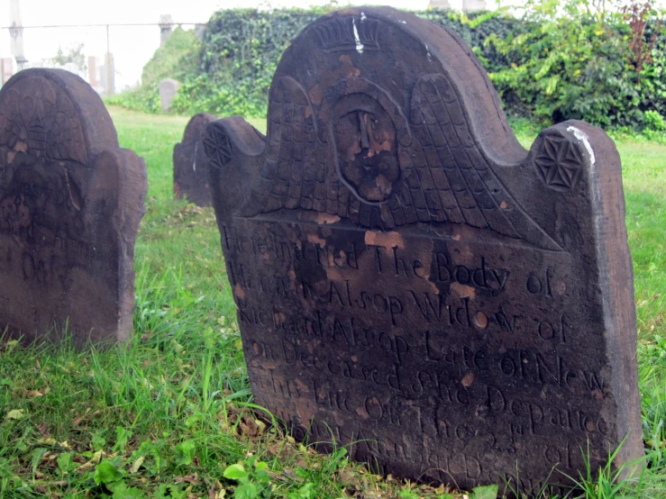 the headstones are marked in ancient latin script