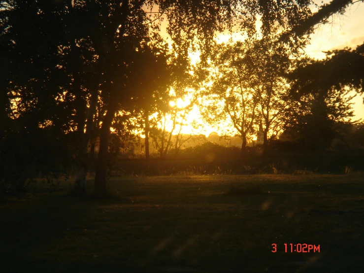 a sunset in the middle of trees with only the sun on it