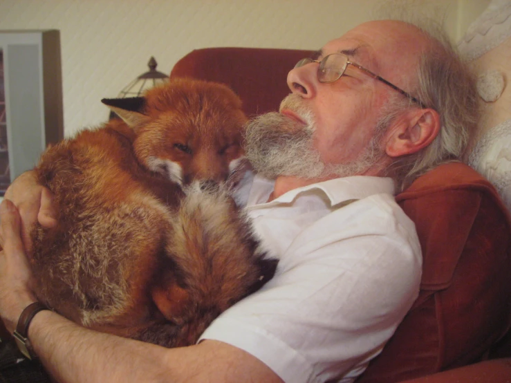 a man on the couch is holding an adorable fox