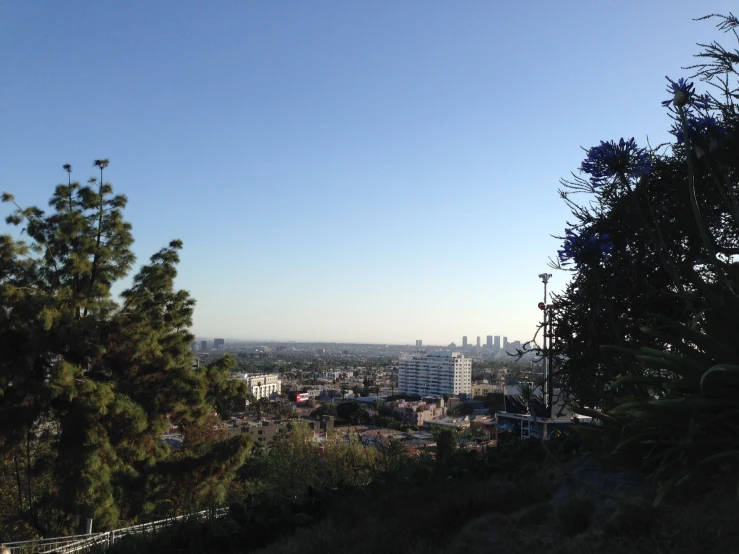 the view from atop a mountain with trees and a city skyline