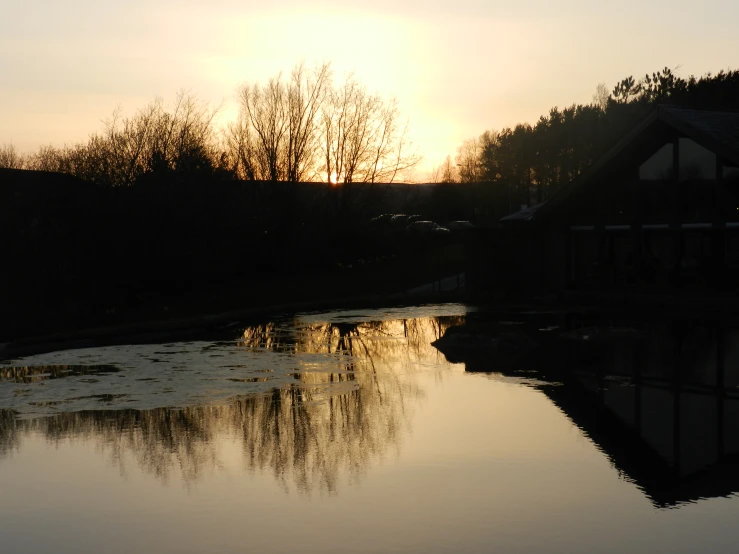 a large body of water with trees in the background