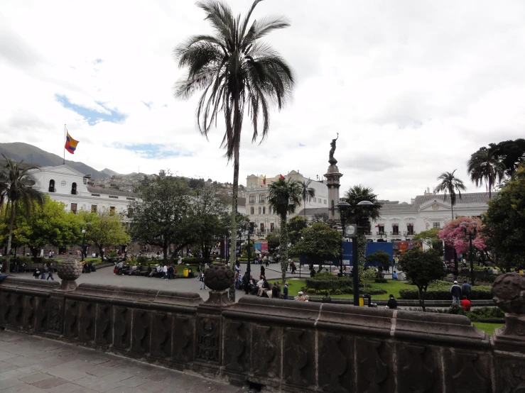 an outdoor park with palm trees and people