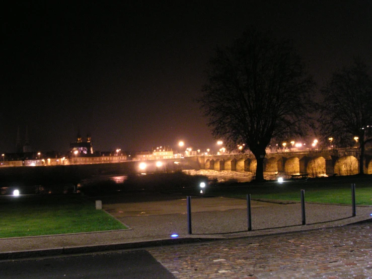 trees are lit up by lanterns in front of the water